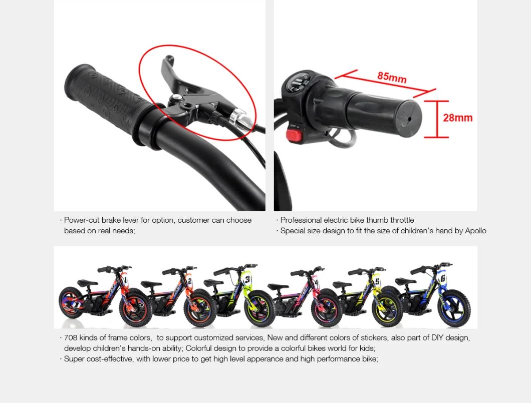 Children Electric Cross Bike/ Motorbike/ Electric Balance Bike/Push Bike/ Apollo Electric Bike Mini Bike