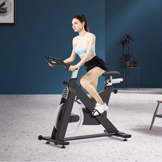 Mini bicicleta de spinning para ejercicio de Fitness magnética comercial deportiva profesional para entrenamiento de gimnasio en casa en interiores