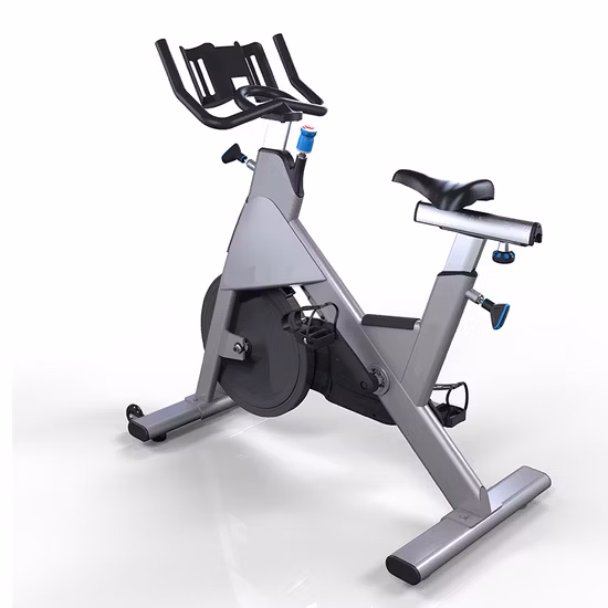 Bicicleta de giro magnético de venta caliente